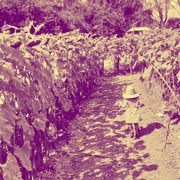 mgrillo89